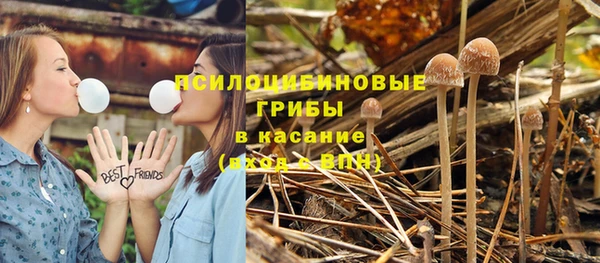 прущие грибы Белоозёрский