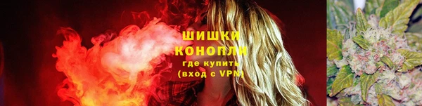 прущие грибы Белоозёрский