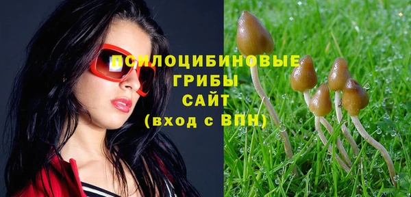 кокаин колумбия Белокуриха