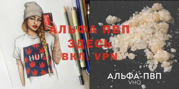 индика Зеленодольск