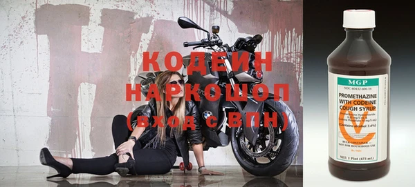 прущие грибы Белоозёрский