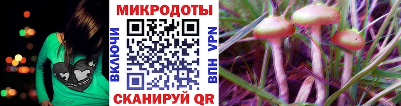 Псилоцибиновые грибы Psilocybe Павловск